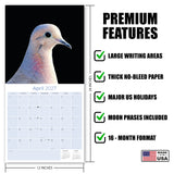 Pigeons Wall Calendar 2027