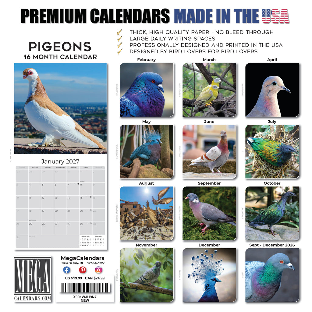 Pigeons Wall Calendar 2027