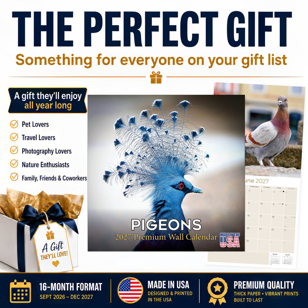 Pigeons Wall Calendar 2027