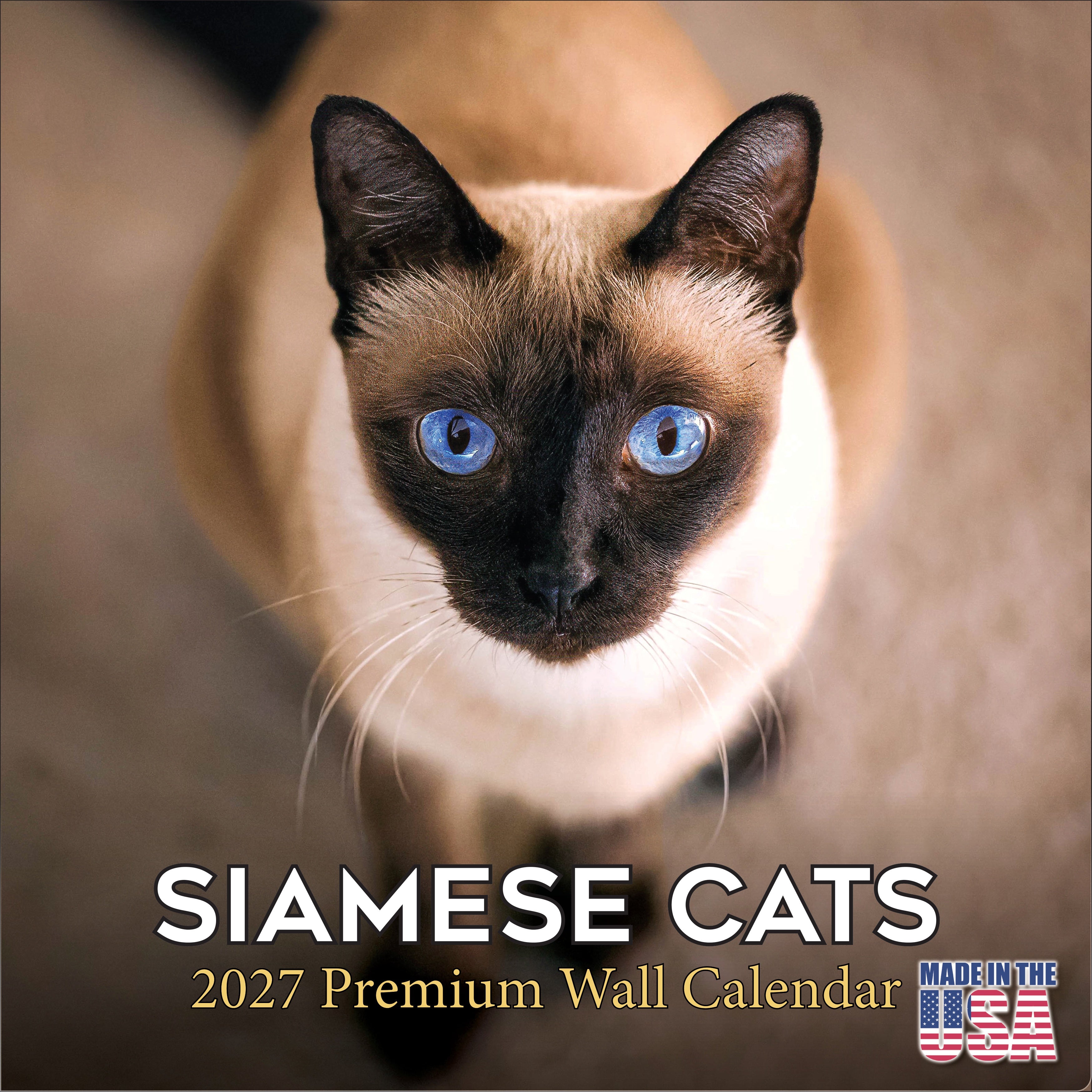 Siamese Cats Wall Calendar 2027 - 12
