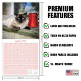 Siamese Cats Wall Calendar 2027 - 12" x 12" Monthly Intelligent & Sleek Blue-Eyed Feline Companion Calendar