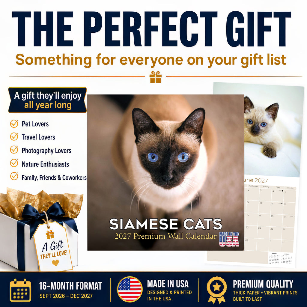 Siamese Cats Wall Calendar 2027 - 12" x 12" Monthly Intelligent & Sleek Blue-Eyed Feline Companion Calendar