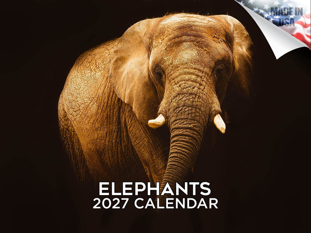 Elephants Wall Calendar 2027 - 12" x 9" 14-Month Wildlife Calendar