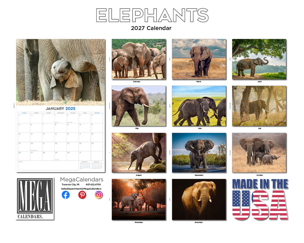 Elephants Wall Calendar 2027 - 12" x 9" 14-Month Wildlife Calendar