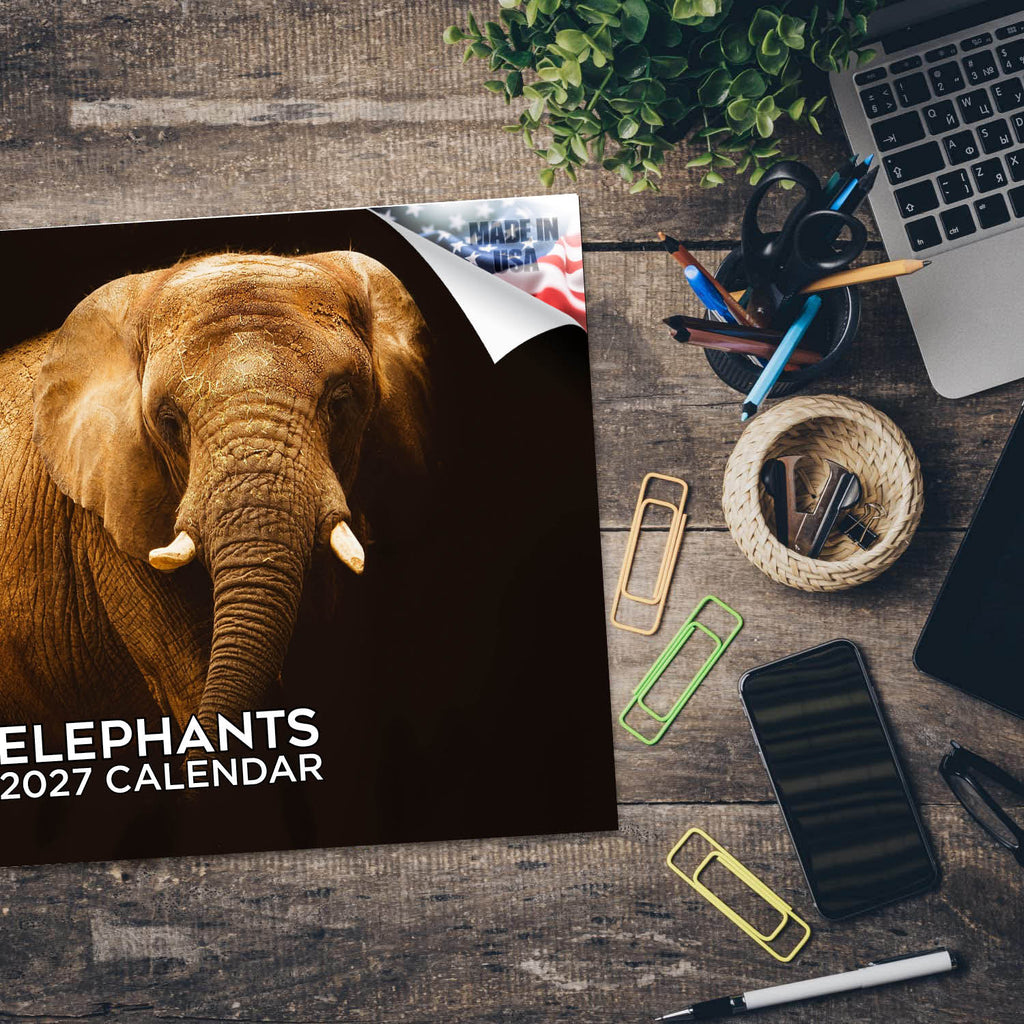 Elephants Wall Calendar 2027 - 12" x 9" 14-Month Wildlife Calendar