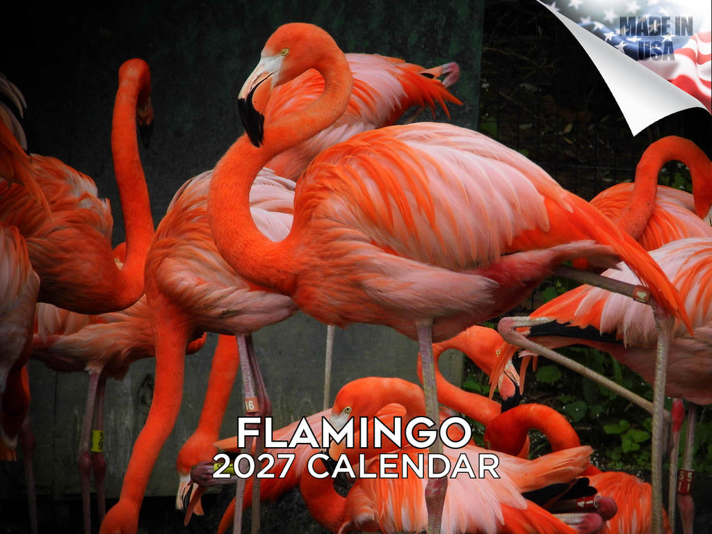 Flamingo Wall Calendar 2027 - 12" x 9" 14-Month Tropical Bird Calendar