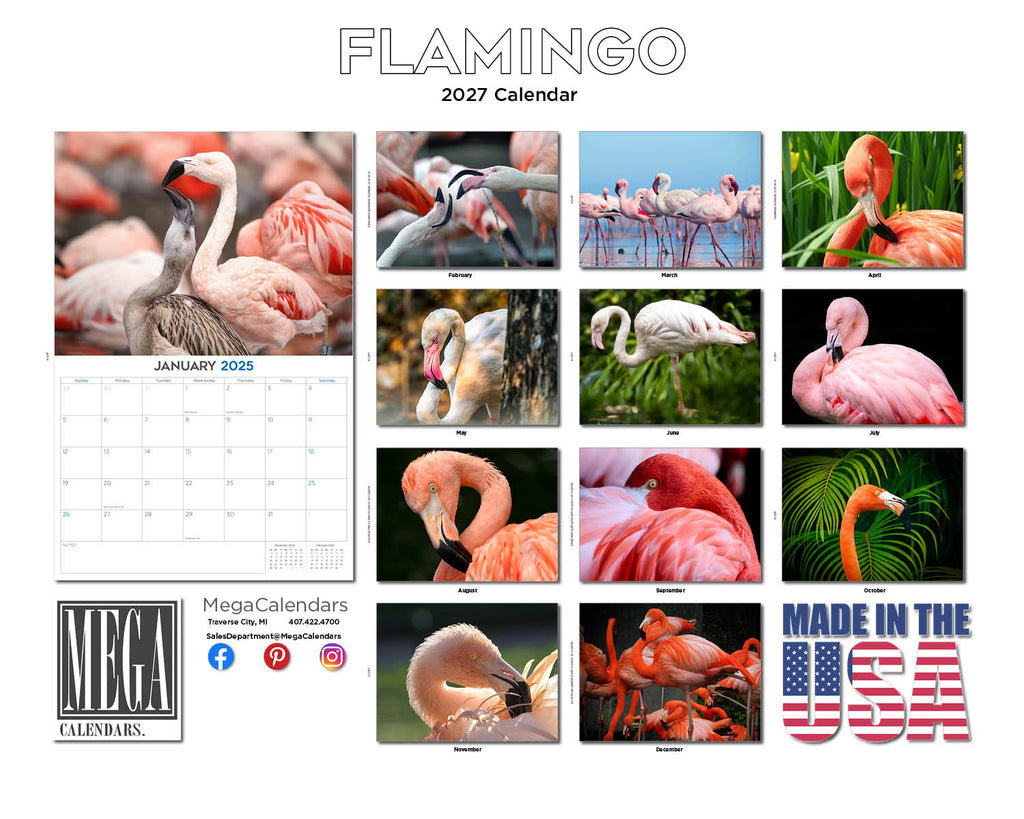 Flamingo Wall Calendar 2027 - 12" x 9" 14-Month Tropical Bird Calendar
