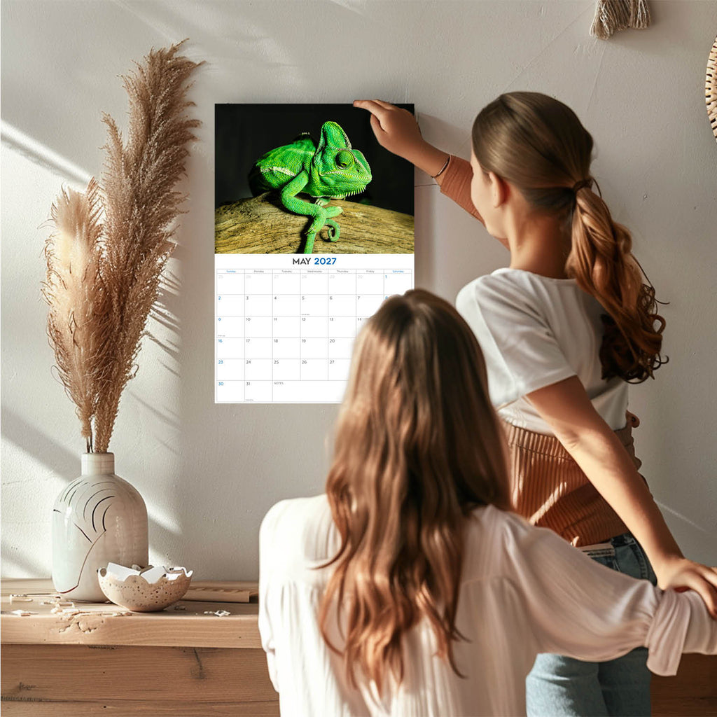 Lizards Wall Calendar 2027 - 12" x 9" 14-Month Reptile Wildlife Calendar