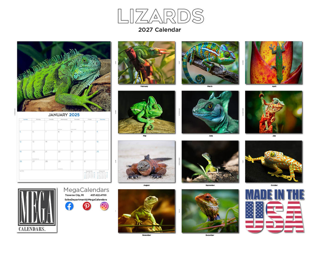 Lizards Wall Calendar 2027 - 12" x 9" 14-Month Reptile Wildlife Calendar