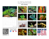 Lizards Wall Calendar 2027 - 12" x 9" 14-Month Reptile Wildlife Calendar