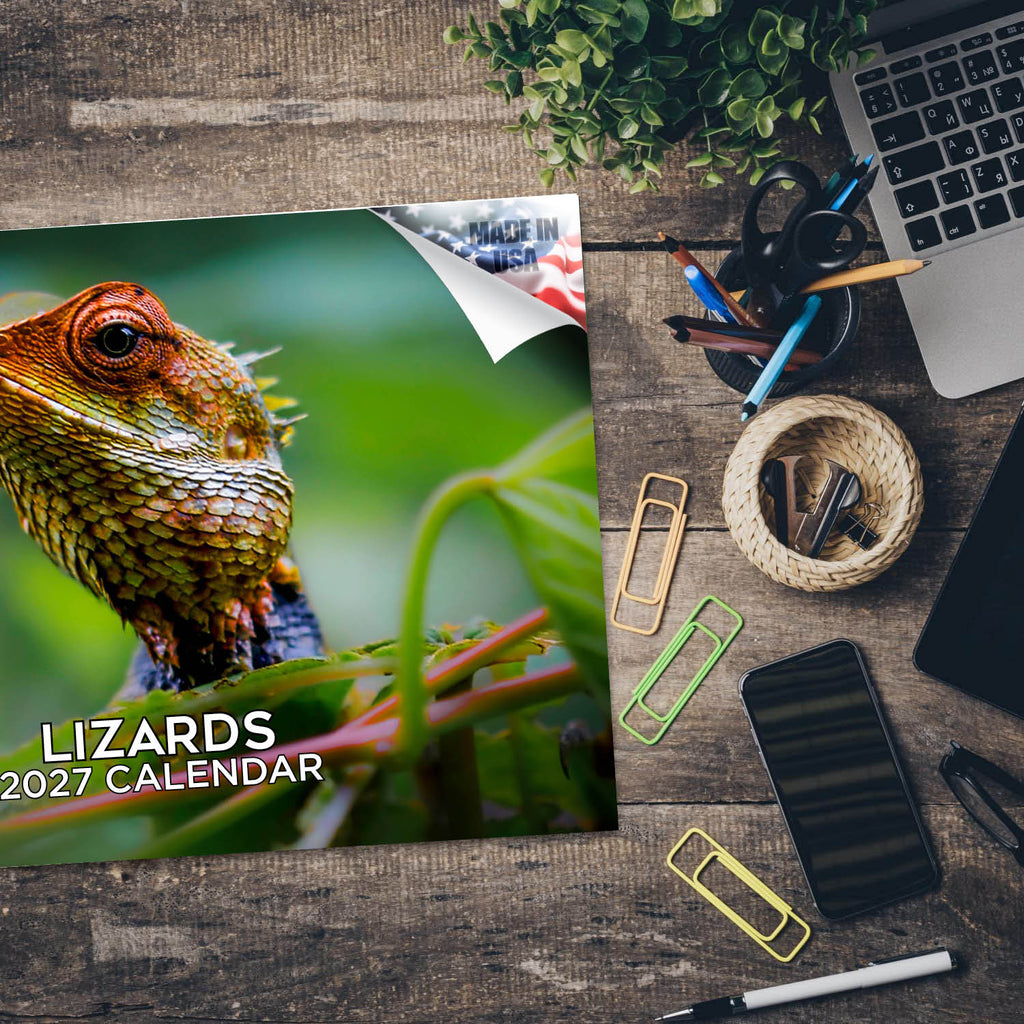 Lizards Wall Calendar 2027 - 12" x 9" 14-Month Reptile Wildlife Calendar