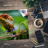 Lizards Wall Calendar 2027 - 12" x 9" 14-Month Reptile Wildlife Calendar