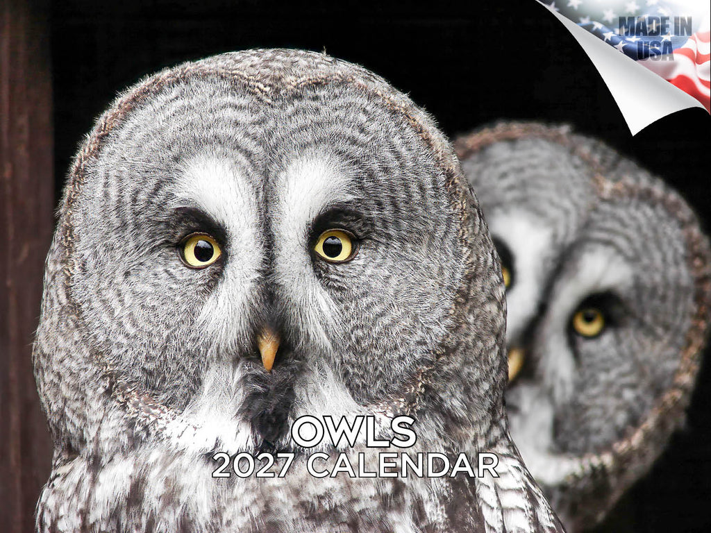 Owls Wall Calendar 2027 - 12" x 9" 14-Month Silent Hunter Wildlife Calendar