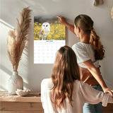 Owls Wall Calendar 2027 - 12" x 9" 14-Month Silent Hunter Wildlife Calendar