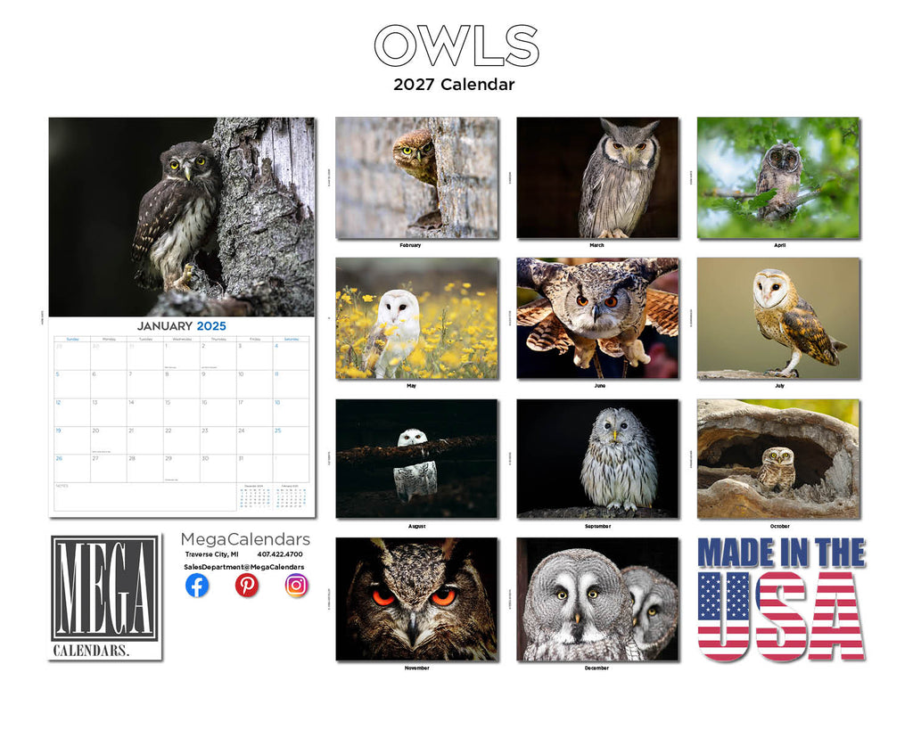 Owls Wall Calendar 2027 - 12" x 9" 14-Month Silent Hunter Wildlife Calendar
