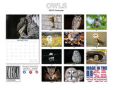 Owls Wall Calendar 2027 - 12" x 9" 14-Month Silent Hunter Wildlife Calendar