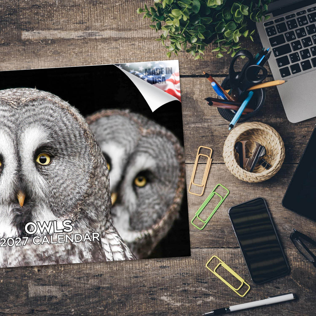 Owls Wall Calendar 2027 - 12" x 9" 14-Month Silent Hunter Wildlife Calendar