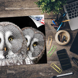 Owls Wall Calendar 2027 - 12" x 9" 14-Month Silent Hunter Wildlife Calendar