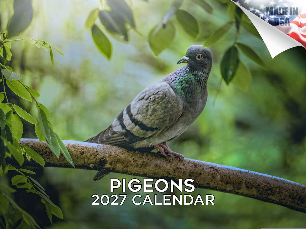 Pigeons Wall Calendar 2027 - 12" x 9" 14-Month Urban Bird Wildlife Calendar