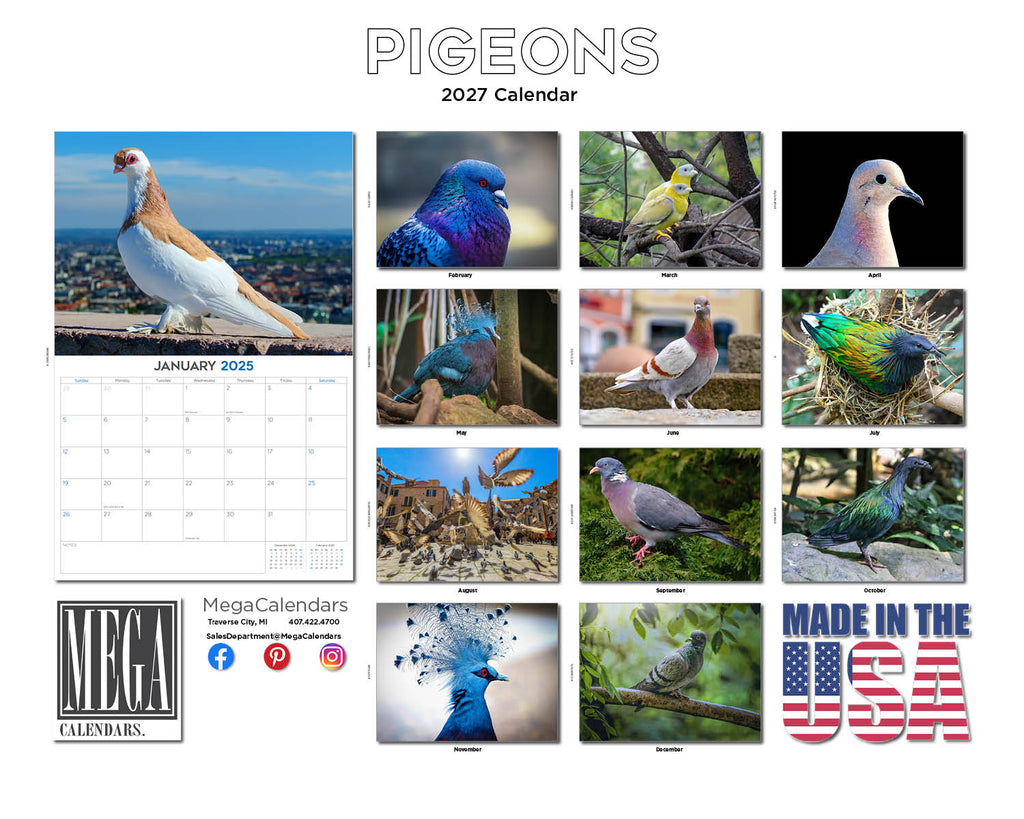 Pigeons Wall Calendar 2027 - 12" x 9" 14-Month Urban Bird Wildlife Calendar