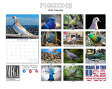Pigeons Wall Calendar 2027 - 12" x 9" 14-Month Urban Bird Wildlife Calendar