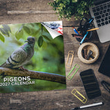 Pigeons Wall Calendar 2027 - 12" x 9" 14-Month Urban Bird Wildlife Calendar