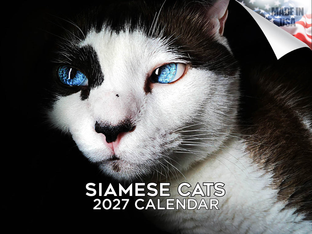 Siamese Cats Wall Calendar 2027 - 12" x 9" 14-Month Cat Breed Calendar