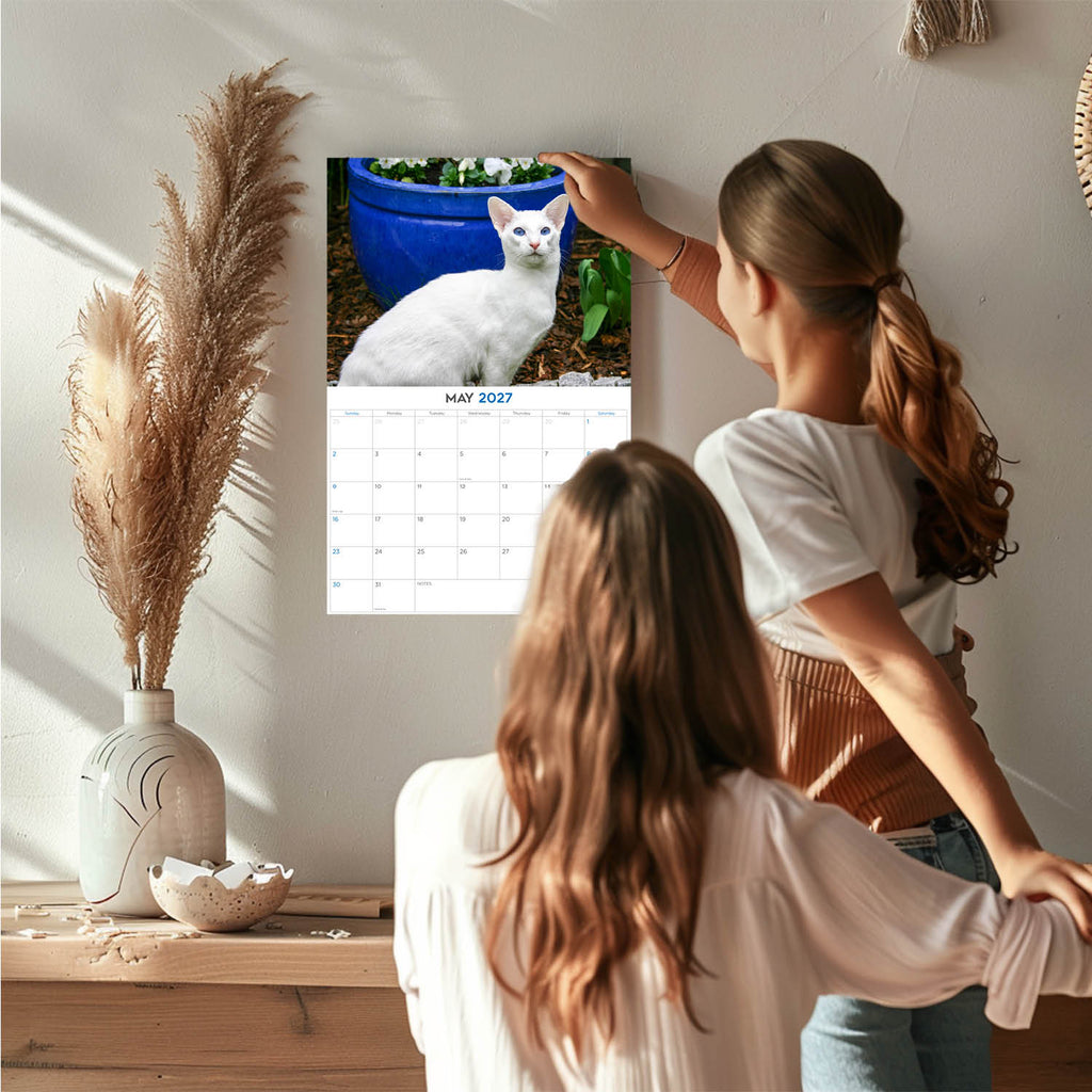 Siamese Cats Wall Calendar 2027 - 12" x 9" 14-Month Cat Breed Calendar