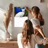 Siamese Cats Wall Calendar 2027 - 12" x 9" 14-Month Cat Breed Calendar