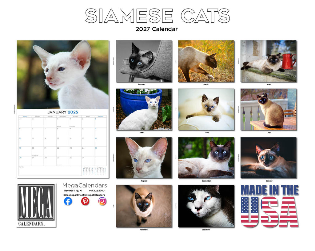 Siamese Cats Wall Calendar 2027 - 12" x 9" 14-Month Cat Breed Calendar