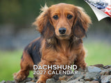 Dachshund Wall Calendar 2027 - 12" x 9" 14-Month Dog Breed Calendar