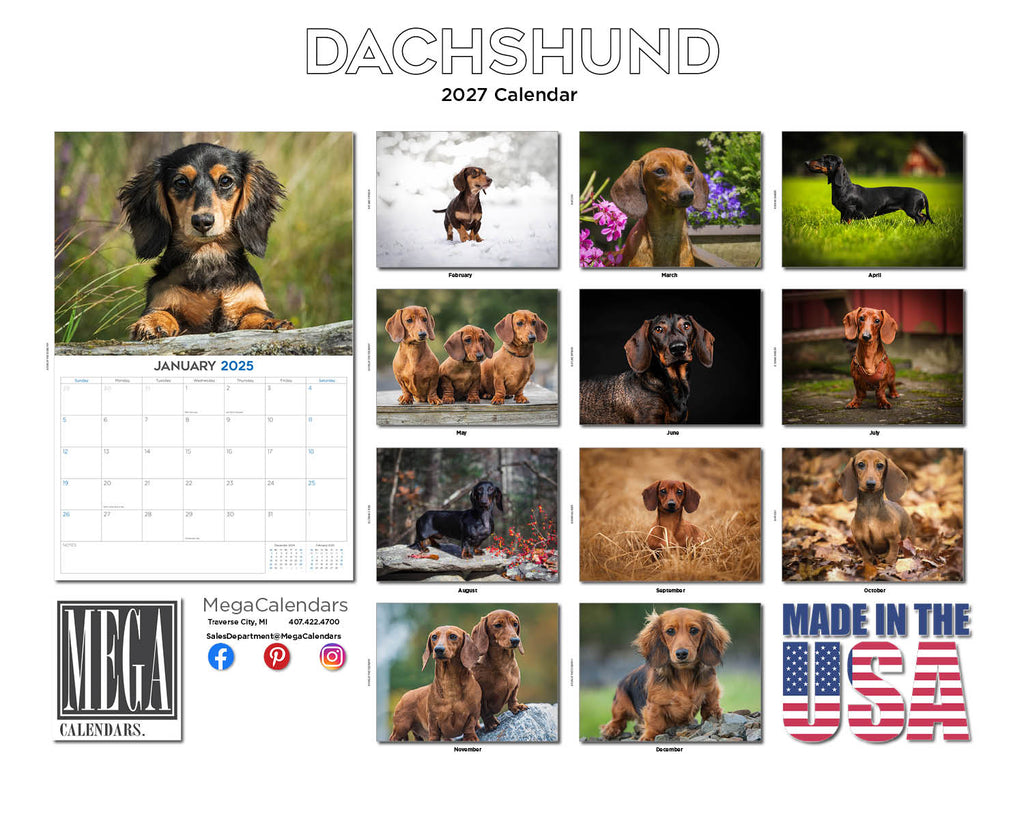 Dachshund Wall Calendar 2027 - 12" x 9" 14-Month Dog Breed Calendar