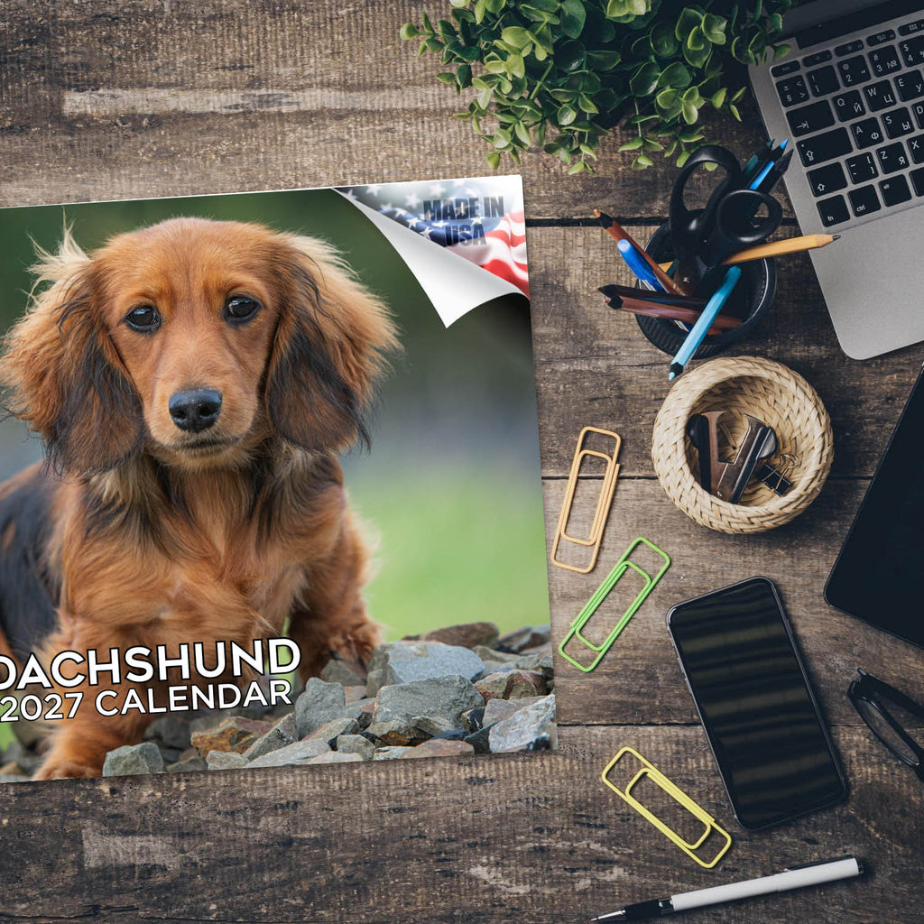 Dachshund Wall Calendar 2027 - 12" x 9" 14-Month Dog Breed Calendar