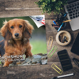Dachshund Wall Calendar 2027 - 12" x 9" 14-Month Dog Breed Calendar