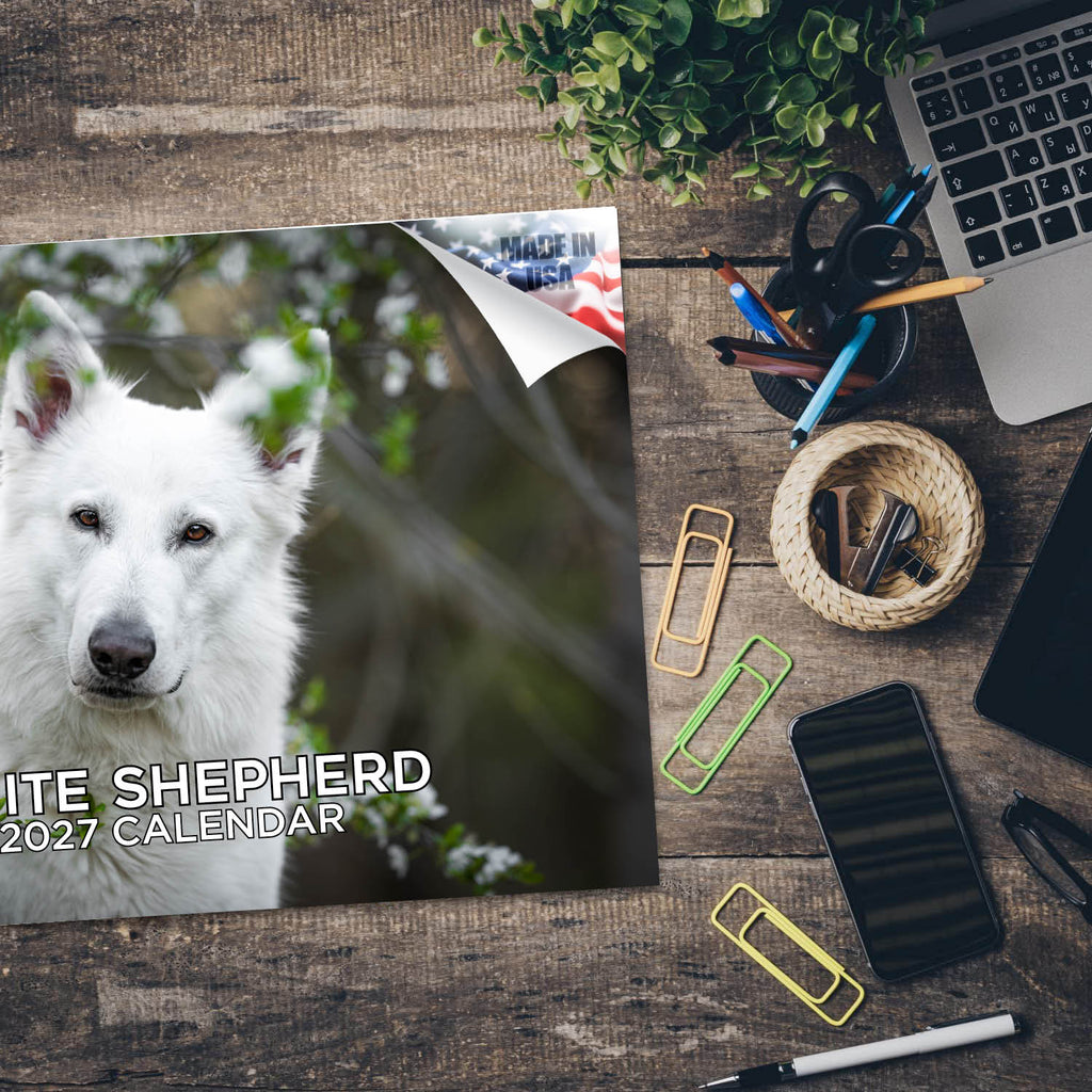 White Shepherd Wall Calendar 2027 - 12" x 9" 14-Month Dog Breed Calendar