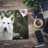 White Shepherd Wall Calendar 2027 - 12" x 9" 14-Month Dog Breed Calendar