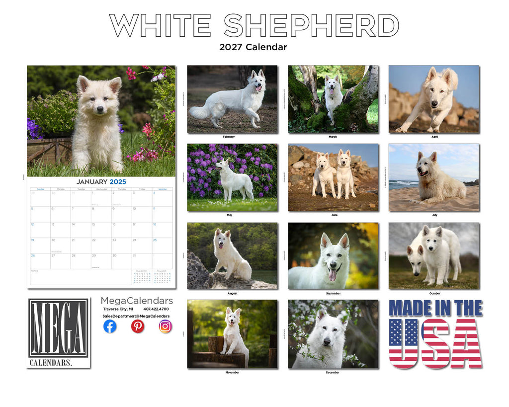 White Shepherd Wall Calendar 2027 - 12" x 9" 14-Month Dog Breed Calendar