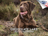 Chocolate Labrador Wall Calendar 2027 - 12" x 9" 14-Month Dog Breed Calendar