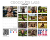 Chocolate Labrador Wall Calendar 2027 - 12" x 9" 14-Month Dog Breed Calendar