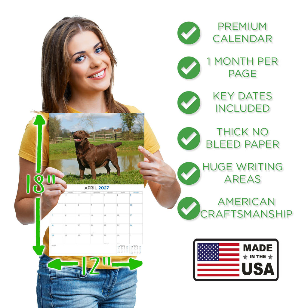 Chocolate Labrador Wall Calendar 2027 - 12" x 9" 14-Month Dog Breed Calendar