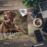 Chocolate Labrador Wall Calendar 2027 - 12" x 9" 14-Month Dog Breed Calendar