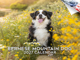 Bernese Mountain Dog Wall Calendar 2027 - 12" x 9" 14-Month Dog Breed Calendar