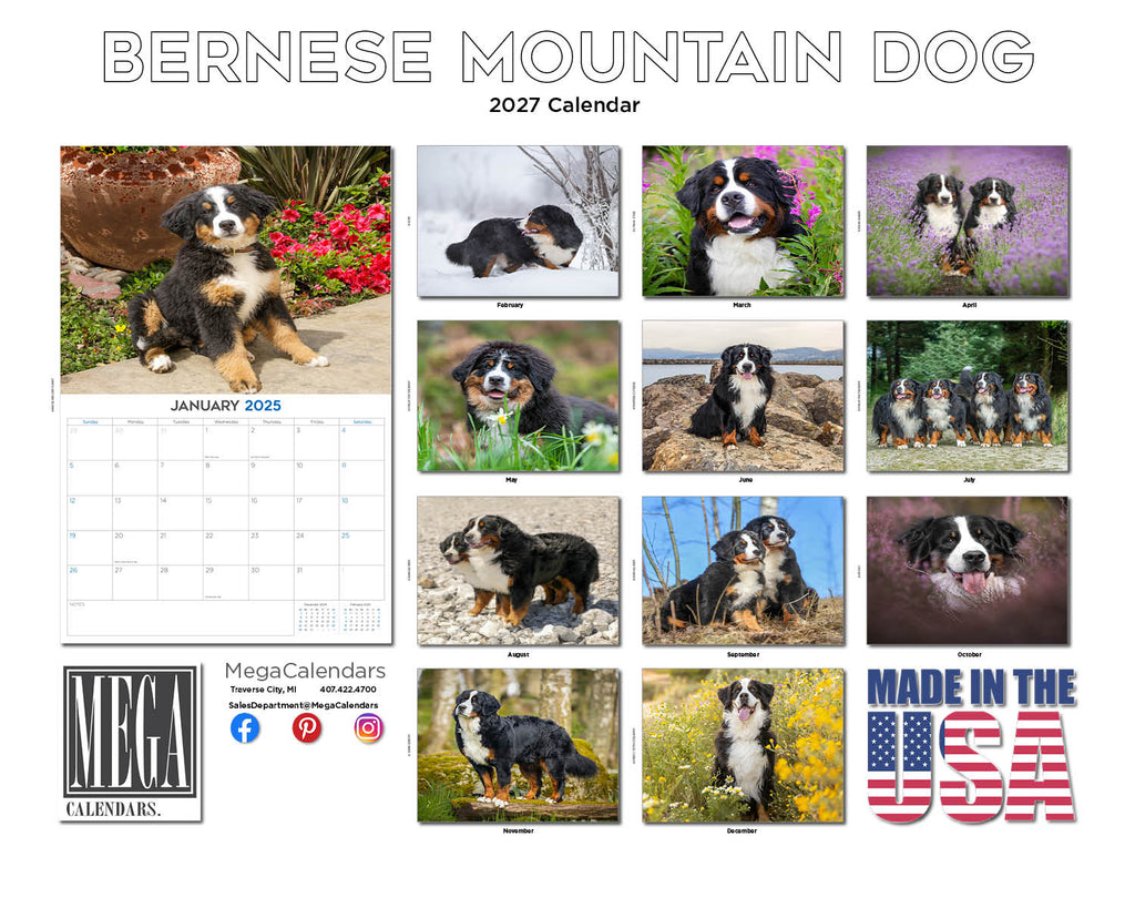 Bernese Mountain Dog Wall Calendar 2027 - 12" x 9" 14-Month Dog Breed Calendar
