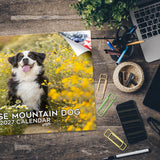 Bernese Mountain Dog Wall Calendar 2027 - 12" x 9" 14-Month Dog Breed Calendar