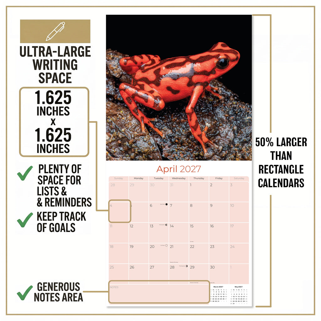 Frogs Wall Calendar 2027 - 12" x 12" Monthly Colorful Exotic Tree Frogs Amphibian Nature Calendar