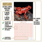Frogs Wall Calendar 2027 - 12" x 12" Monthly Colorful Exotic Tree Frogs Amphibian Nature Calendar