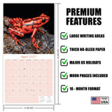 Frogs Wall Calendar 2027 - 12" x 12" Monthly Colorful Exotic Tree Frogs Amphibian Nature Calendar
