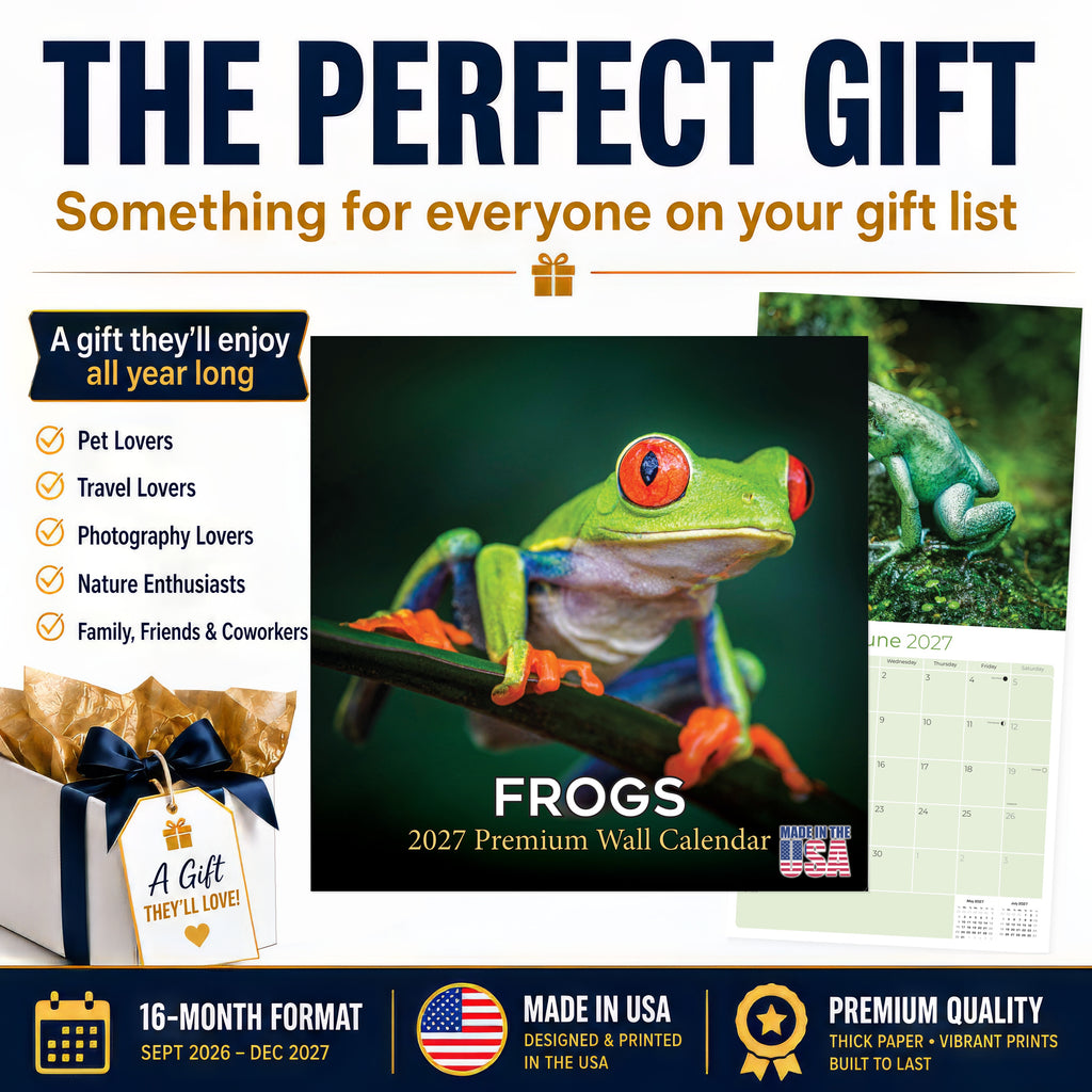 Frogs Wall Calendar 2027 - 12" x 12" Monthly Colorful Exotic Tree Frogs Amphibian Nature Calendar