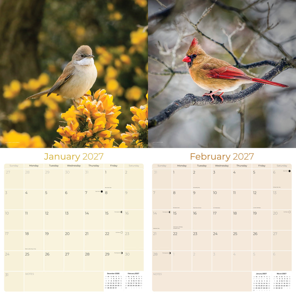 Garden Birds Wall Calendar 2027 - 12" x 12" Monthly Beautiful Songbirds & Colorful Backyard Wild Birds Calendar