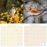 Garden Birds Wall Calendar 2027 - 12" x 12" Monthly Beautiful Songbirds & Colorful Backyard Wild Birds Calendar